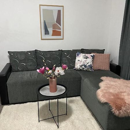Apartman Aleksic Jagodina Ngoại thất bức ảnh