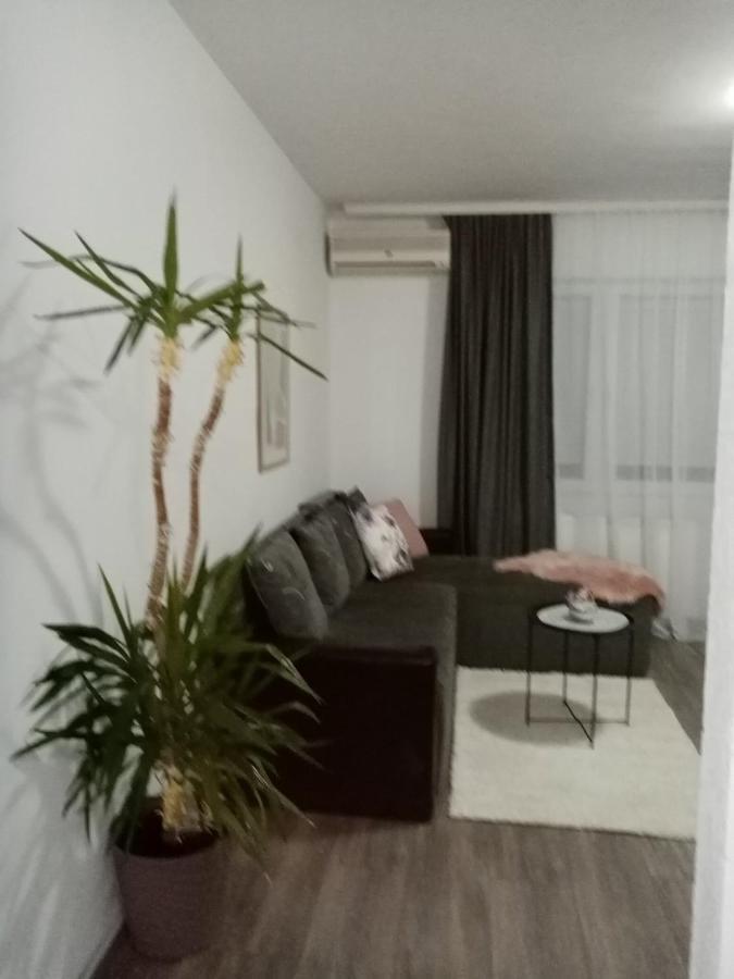 Apartman Aleksic Jagodina Ngoại thất bức ảnh