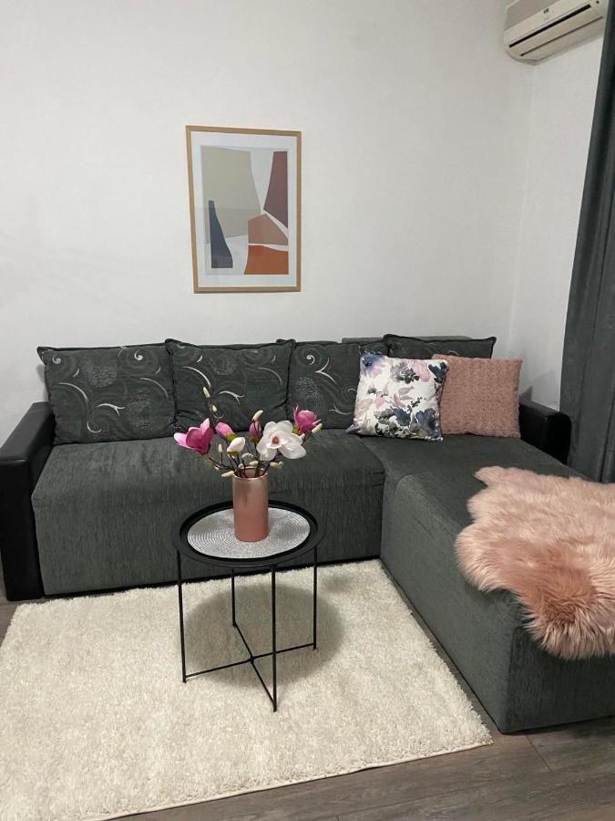 Apartman Aleksic Jagodina Ngoại thất bức ảnh